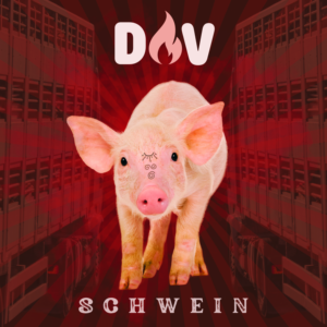 Neuer Single „Schwein“ von DAV